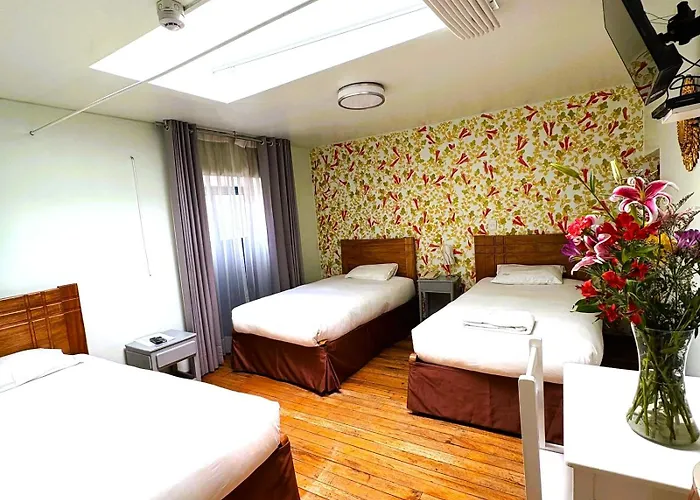 Hotel Mayor