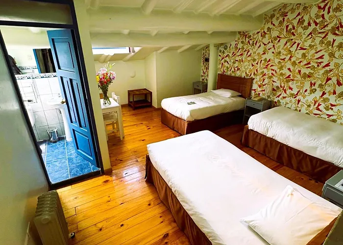 Mayor Hotel 3*